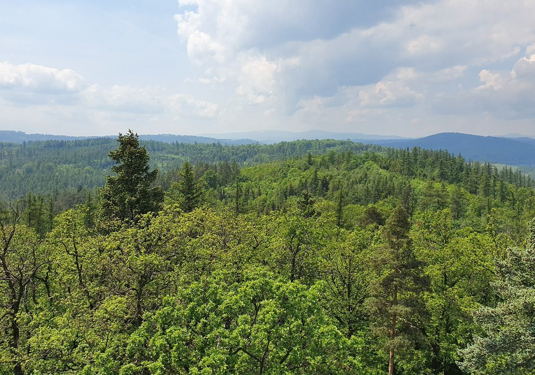 Lookout Ježník-Krnov必去景点