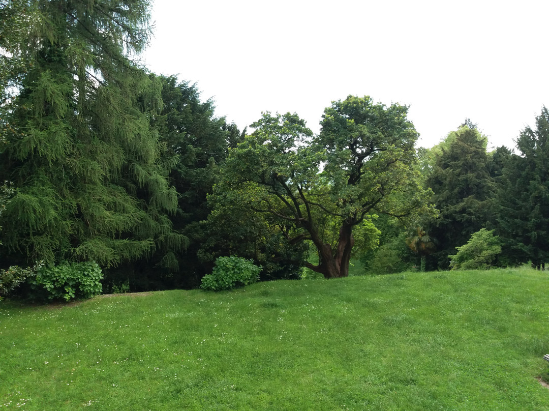 Parco Mantegazza景点图片