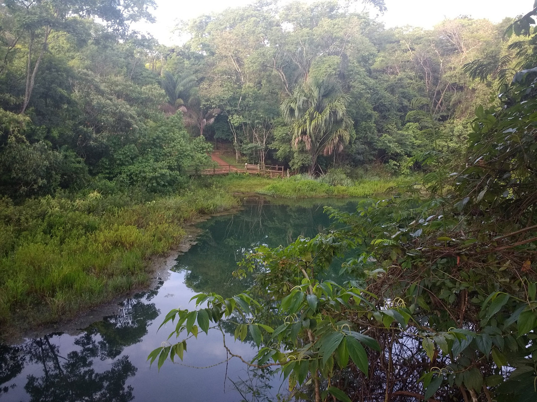 Parque Olhos D'agua-巴西利亚必去景点