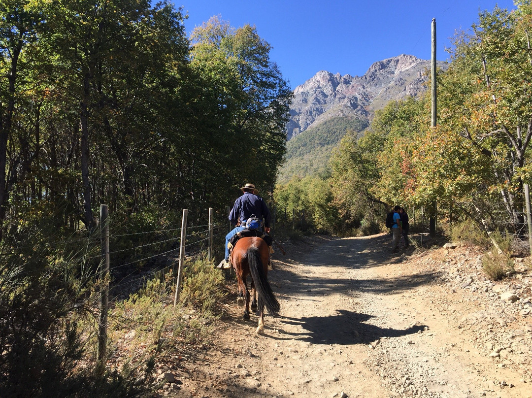 Vilches Alto-San Clemente必去景点