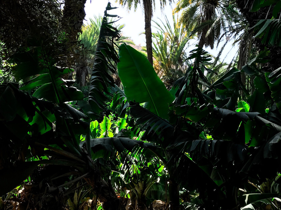 Tawada Hiking-奥瑞尔必去景点