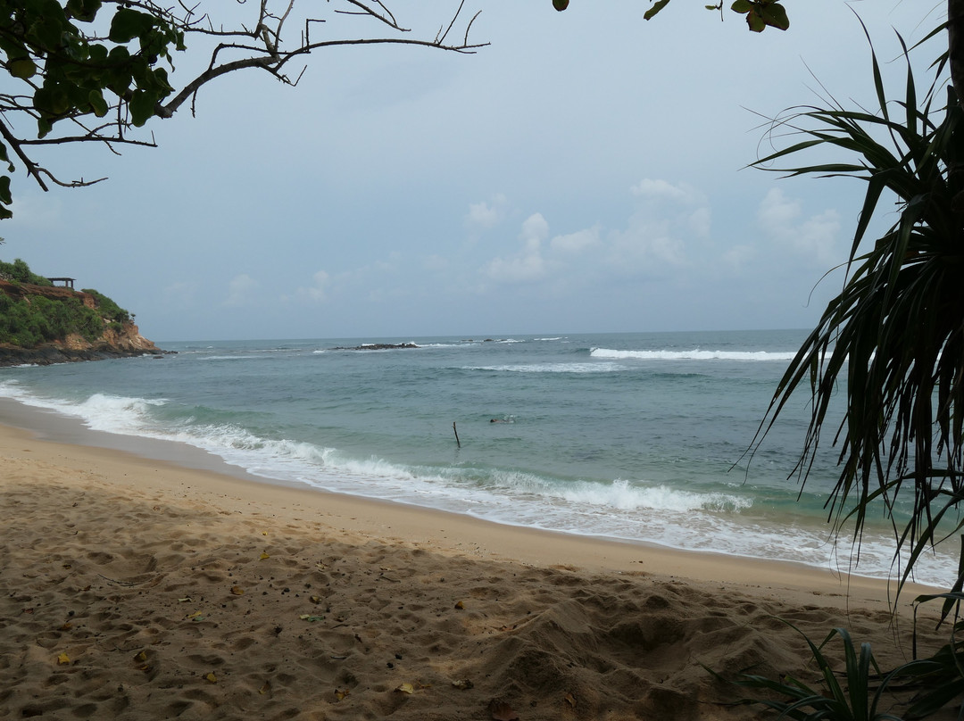 Barberyn Beach Ayurveda Resort主图