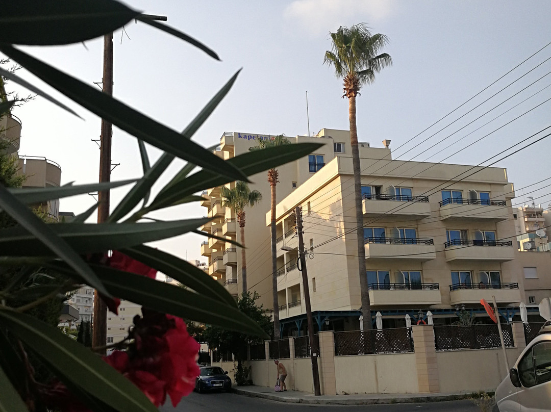 Kapetanios Limassol Hotel主图