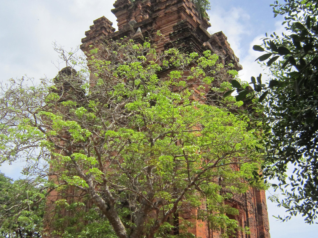 Thap Doi (Twin Towers)景点图片
