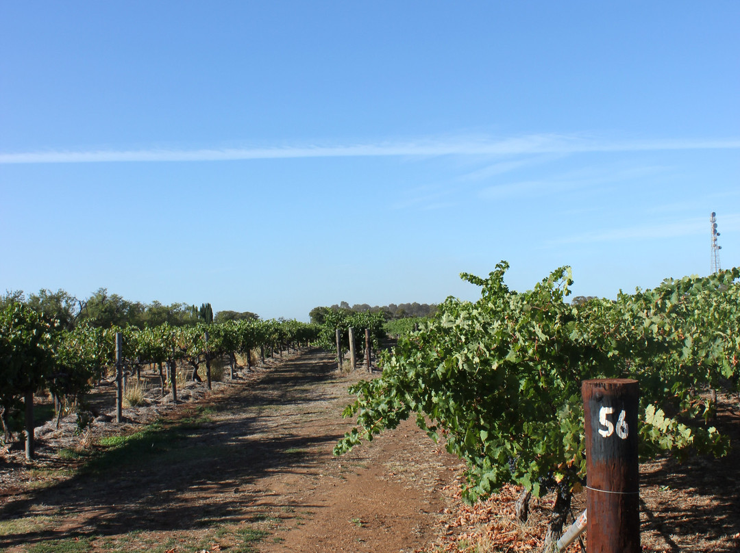 Coonawarra Wineries Walking Trail景点图片