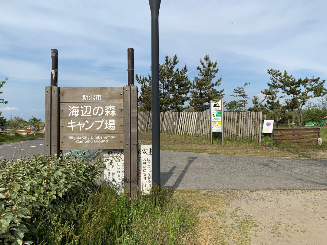 Umibenomori Campsite主图