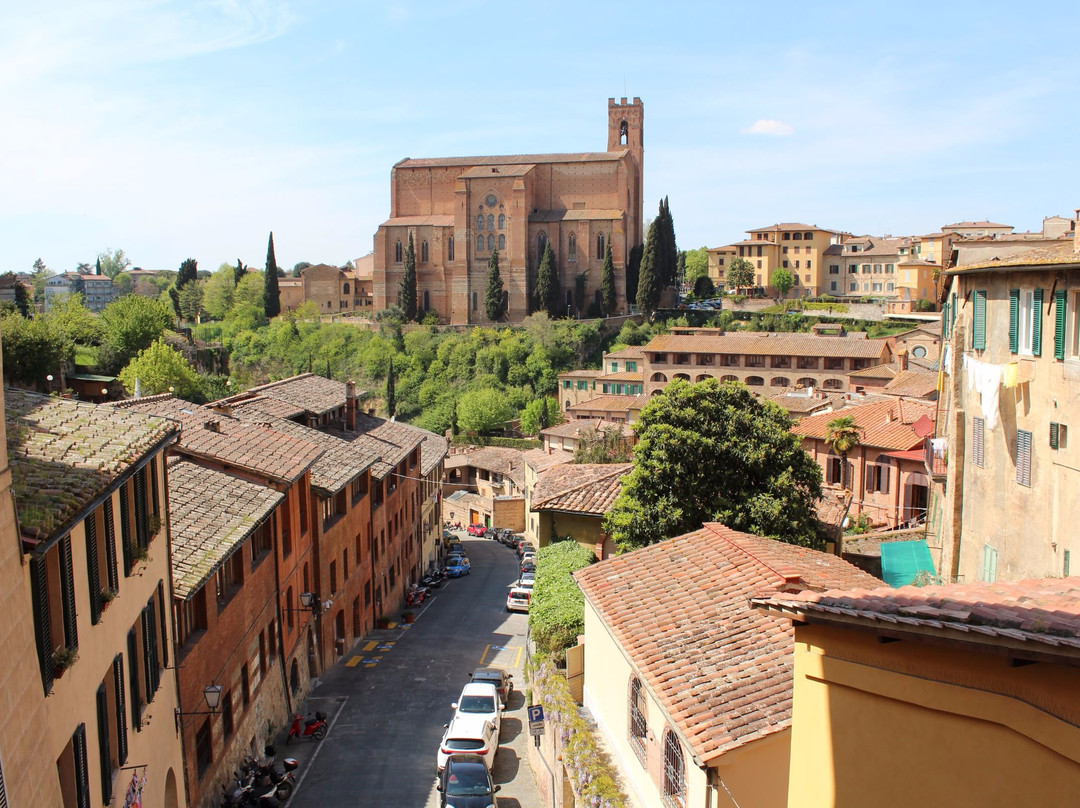Siena Walking Tours - Private Guided Tours with Costanza景点图片