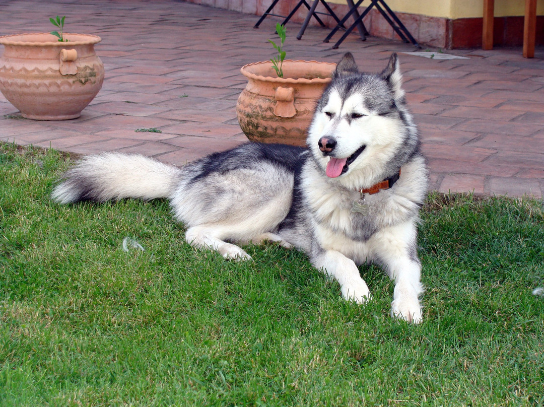 B&B Villa Loriana主图