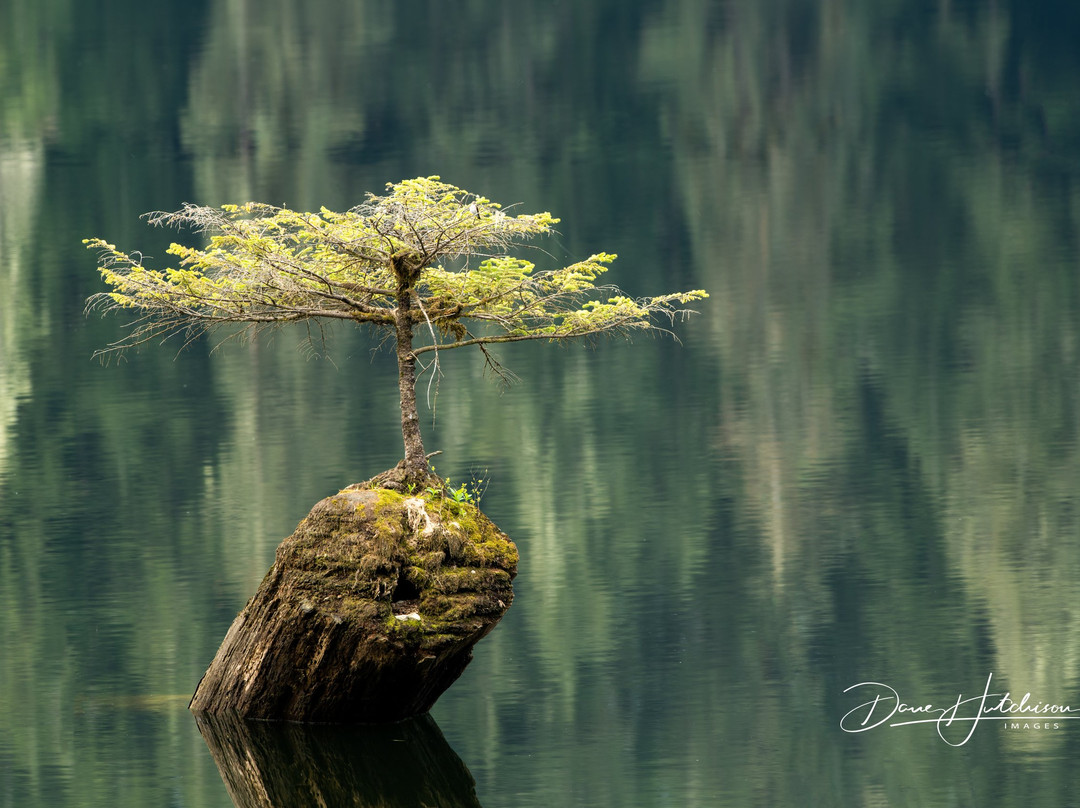 Dave Hutchison Images景点图片