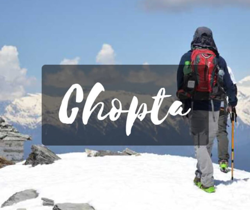 Chopta景点图片