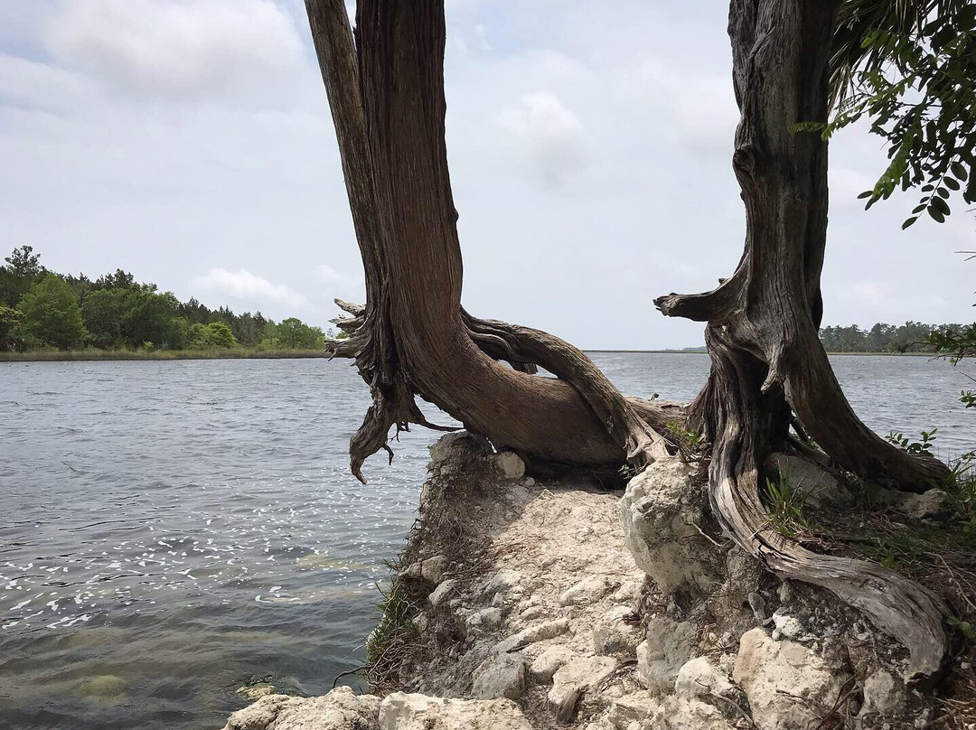 San Marcos de Apalache Historic State Park-Saint Marks必去景点