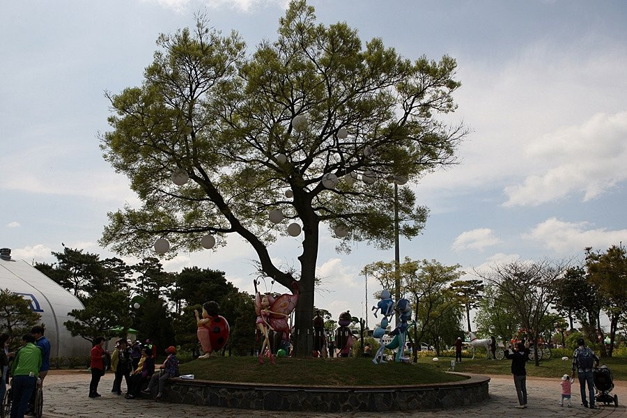 Hampyeong Butterfly Festival-咸平郡必去景点