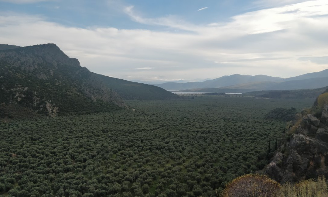 Trekking Hellas Delphi景点图片