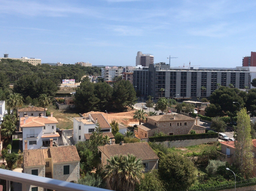 维斯塔奥丁酒店主图