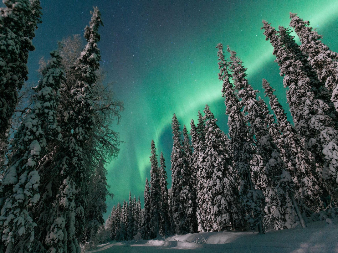 LappOne - The Five Senses of Lapland