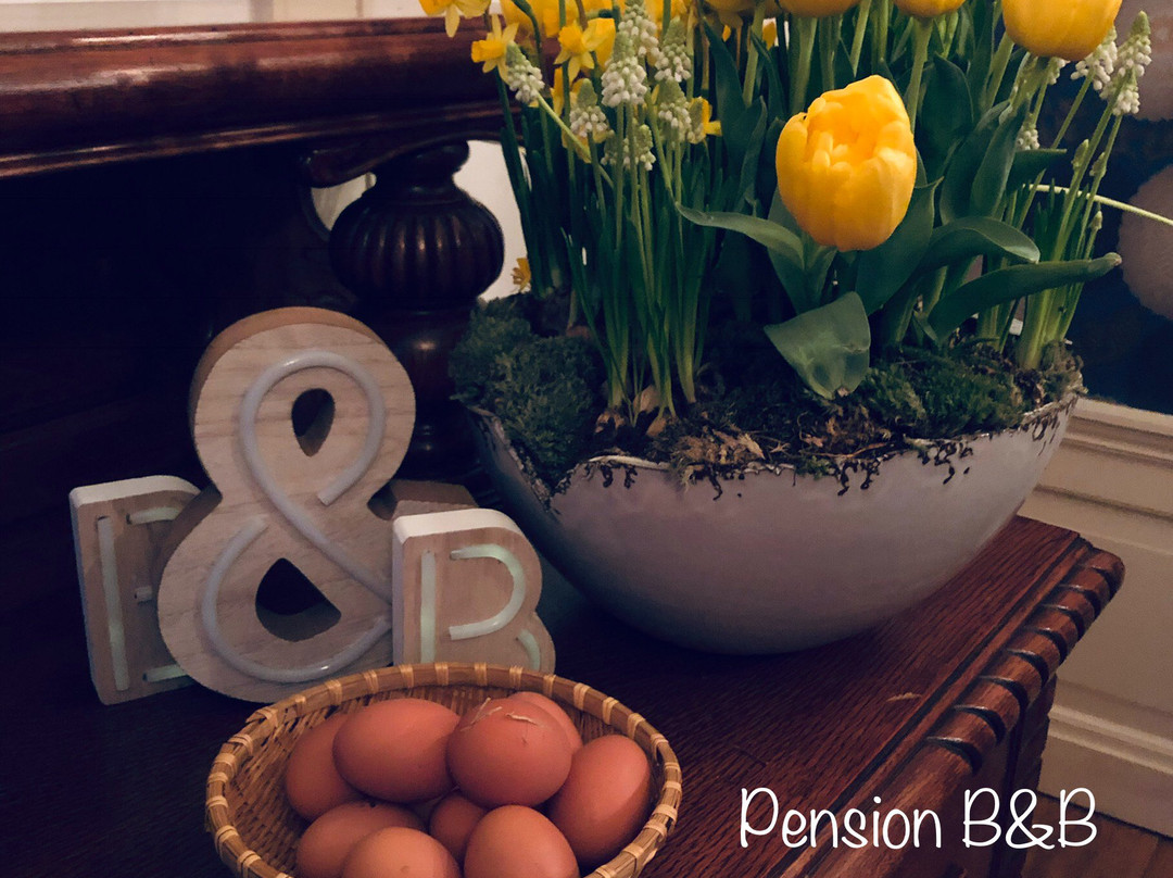 Pension B&B KlaasVaak主图