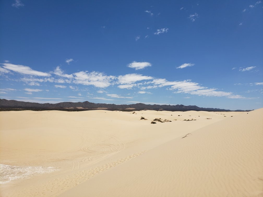 Samalayuca Dune Fields景点图片