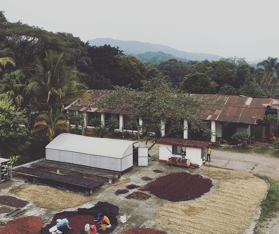 Cafetalera San Felipe-Cordoba必去景点