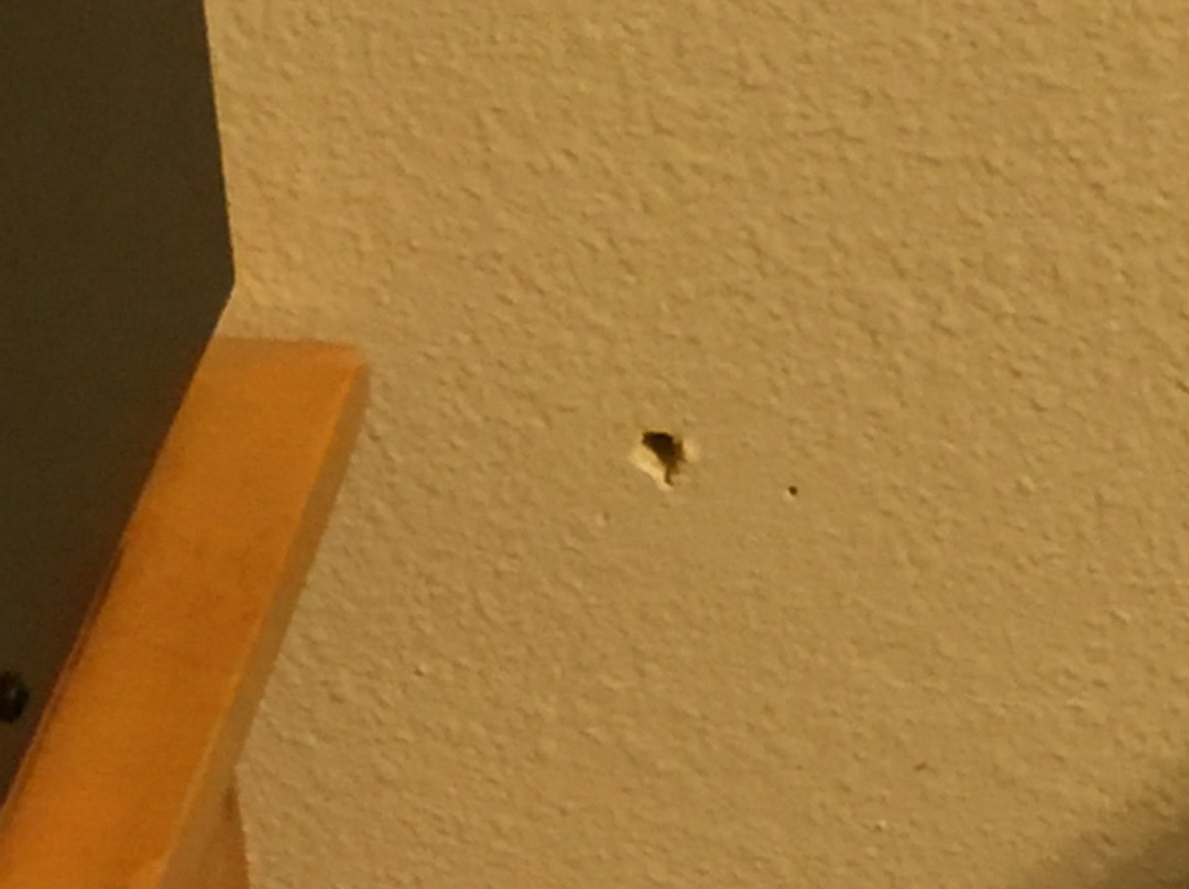 Fidalgo Country Inn主图