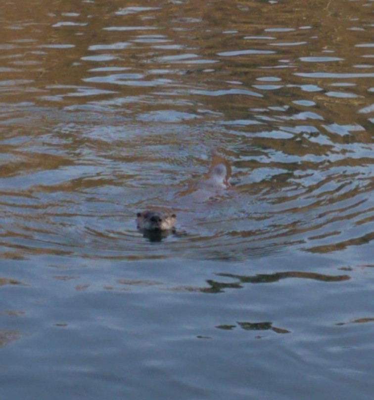 Tumwater Historical Park-塔姆沃特必去景点