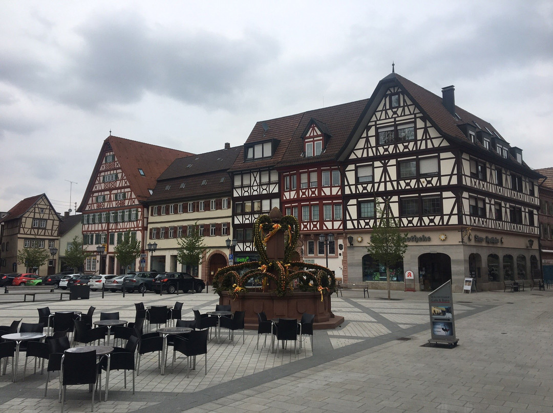 Castle Kurmainzisches景点图片