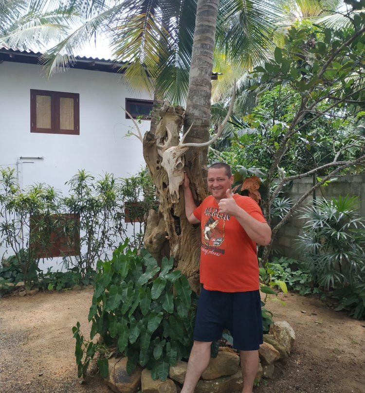 Dumi's Place - Ranna主图