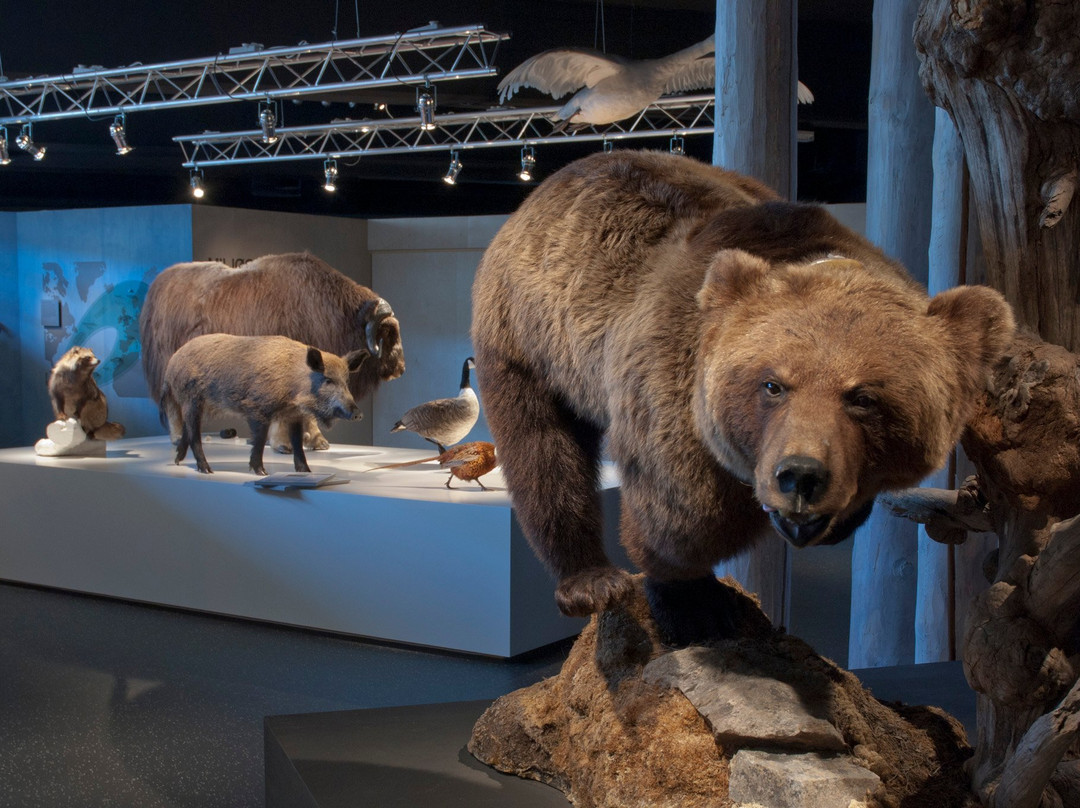Norsk Skogmuseum-Elverum必去景点