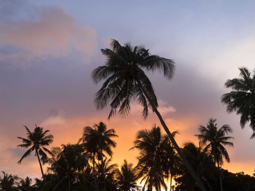 Bara Beach Bungalows主图