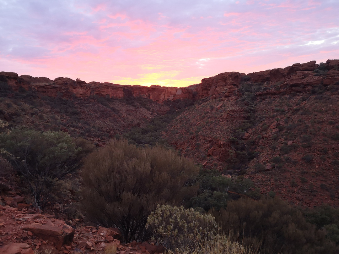 Kings Canyon景点图片