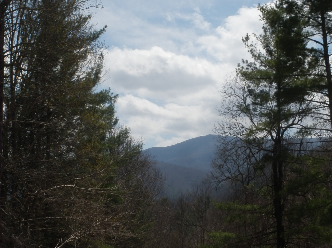 I-26 Welcome Center Erwin/Unicoi County景点图片