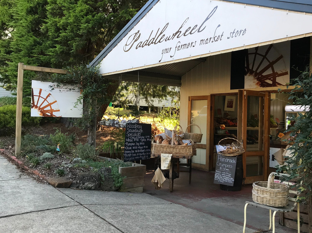 Meeniyan旅游景点-Paddlewheel