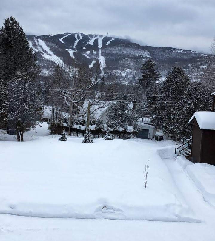 Auberge Sauvignon主图