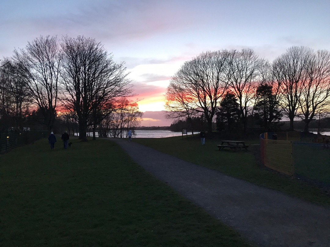 Forfar Lochside Caravan and Motorhome Club Campsite