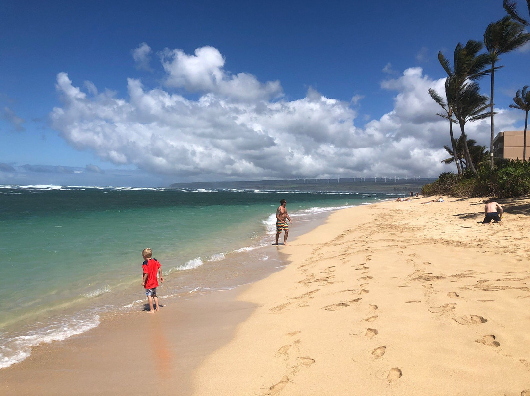 Aweoweo Beach Park-瓦亚禄必去景点