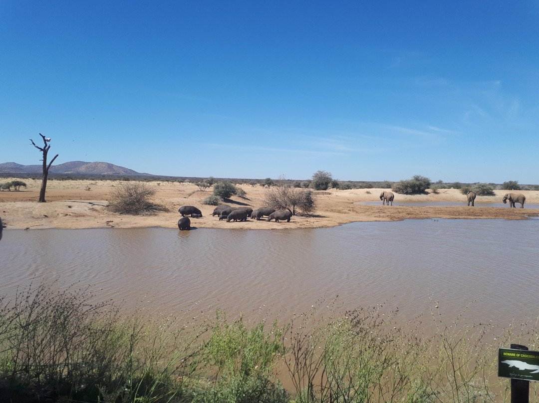 The Art of African Safari-Gobabis必去景点