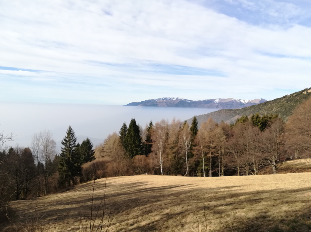Monte Cesen景点图片