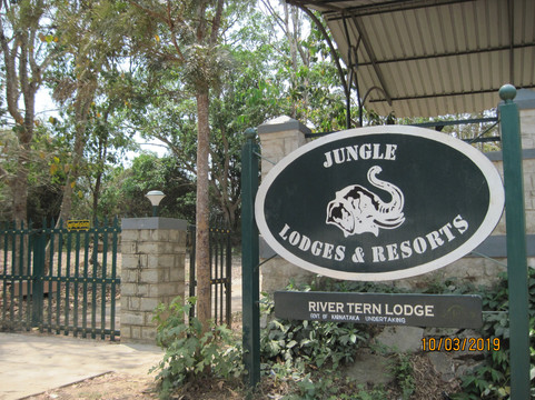 河燕鸥小屋主图