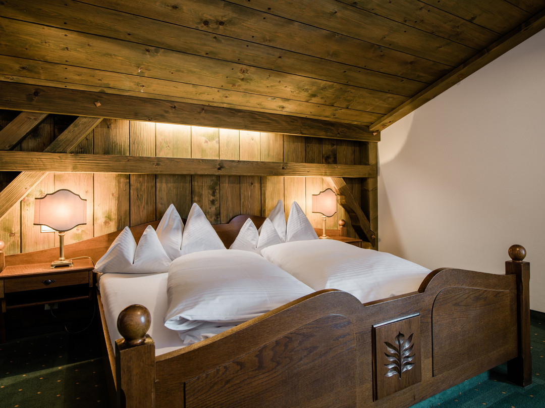 Hotel Alpen Villa Rieder主图