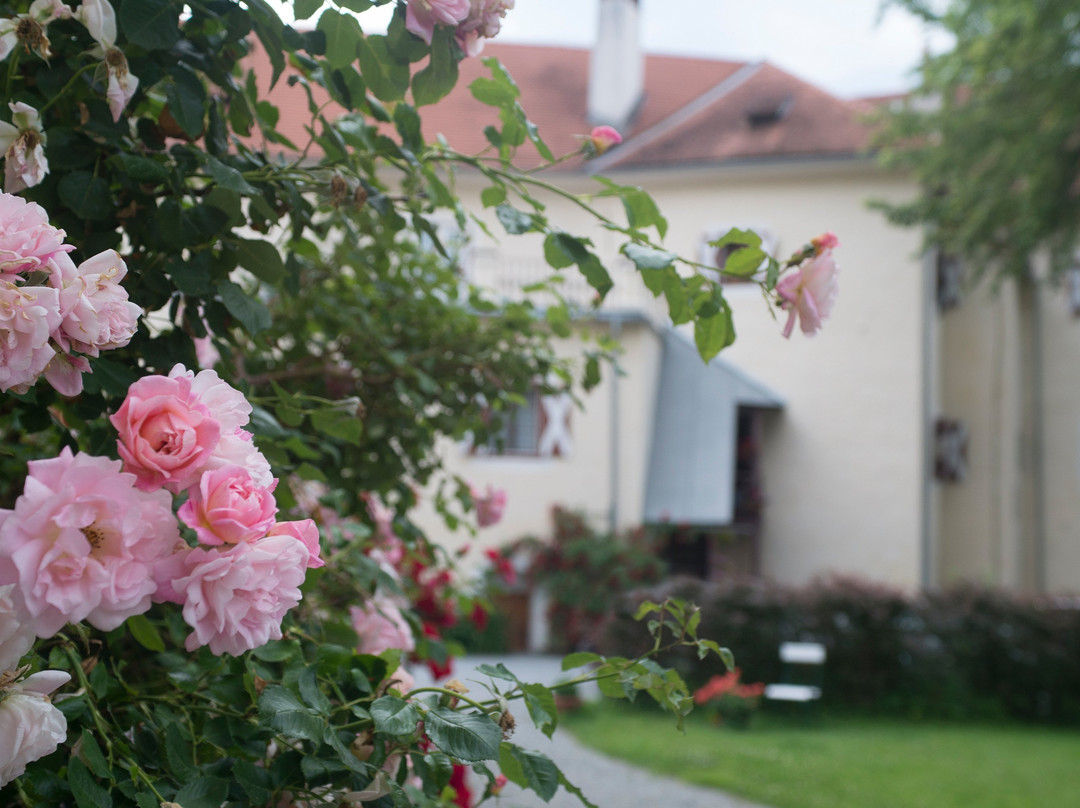 Hotel Landsitz Pichlschloss主图