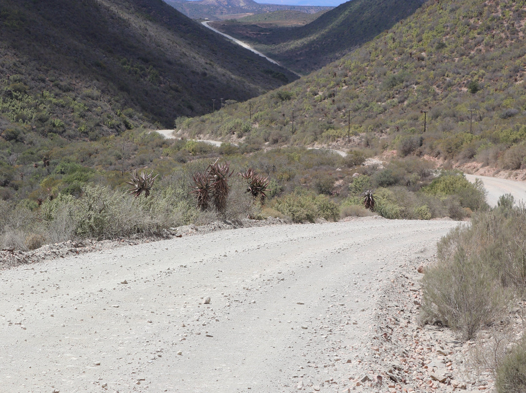 Rooiberg Pass-Calitzdorp必去景点