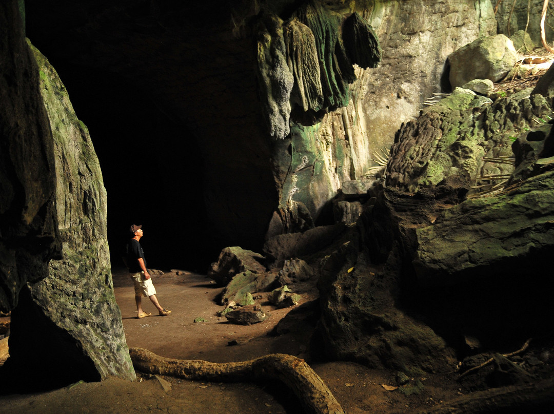 Kenong Rimba Park景点图片