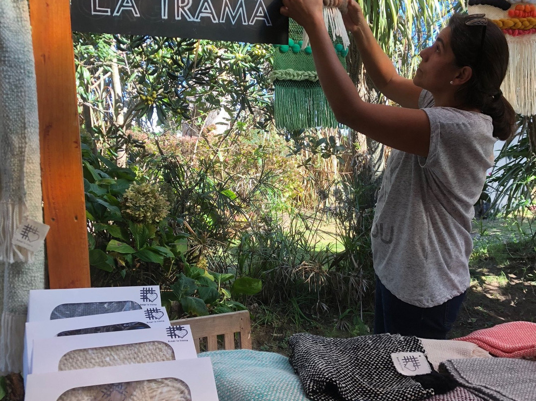 Punta Ballena Market-Punta Ballena必去景点