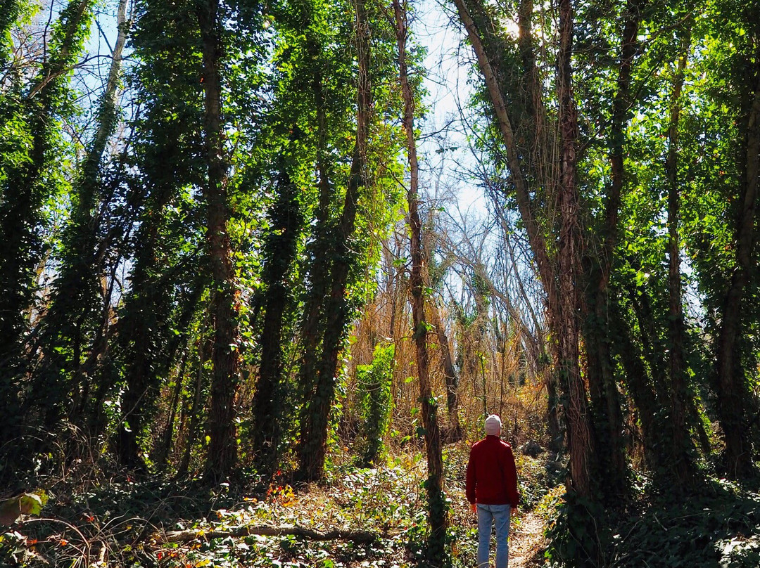 Parque Natural Municipal de la Mitjana-列伊达必去景点