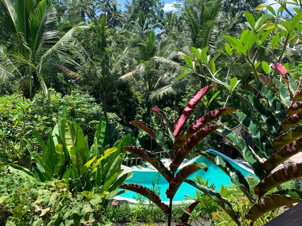 Song Broek Jungle Resort-酒店景观