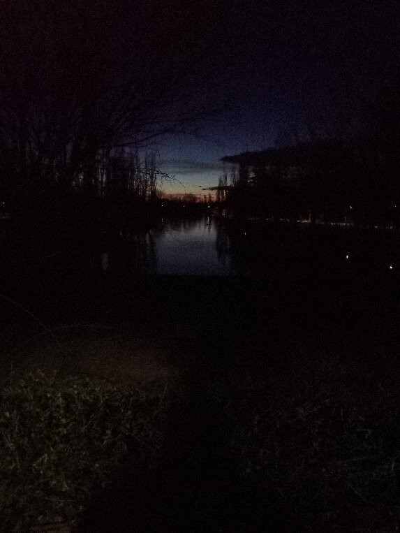 Parque Natural El Soto景点图片