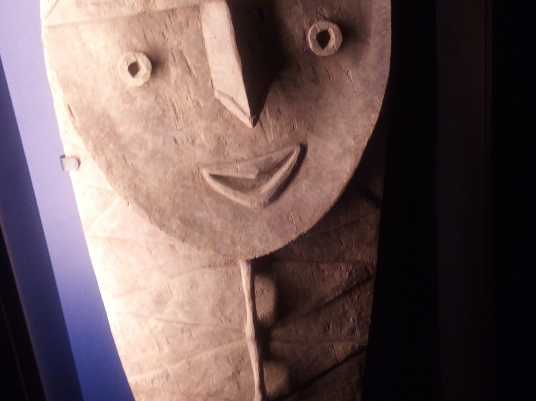 Musee des Arts d'Afrique Et D' Asie-维希必去景点