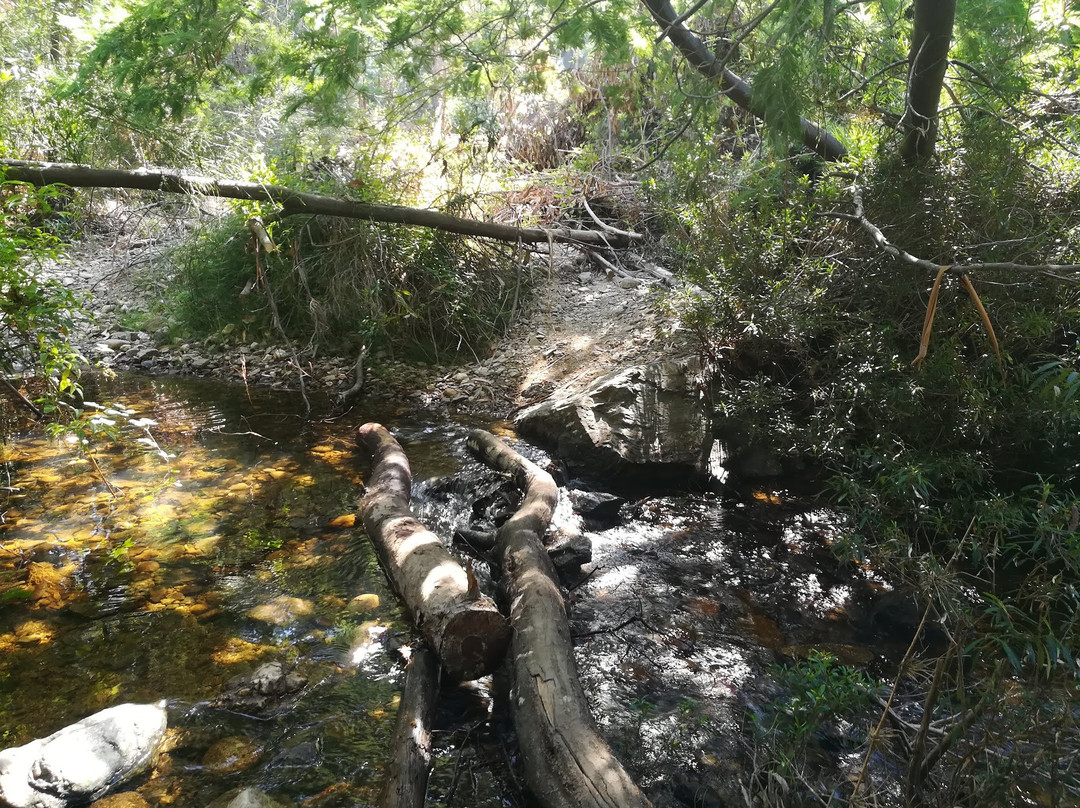 Rutas Pudu-Pelluhue必去景点