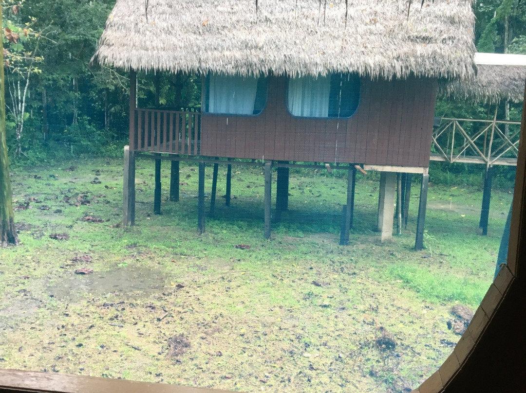 Curassow Amazon Lodge景点图片