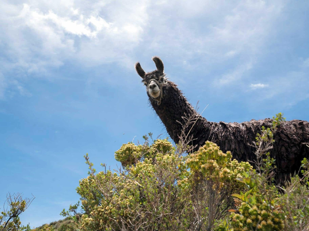 BoliviaTravelSite-科恰班巴必去景点