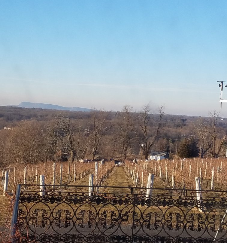 Gouveia Vineyards-沃灵福德必去景点